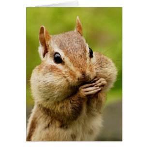 Carte Chipmunk Cheeky