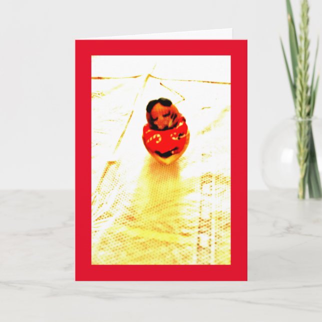 Carte Chipmunk endormi (Devant)