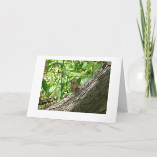 Carte chipmunk, Jardins botaniques de New York