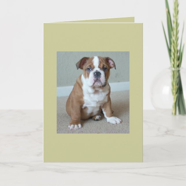 Carte Chippon anglais Bulldog (Devant)