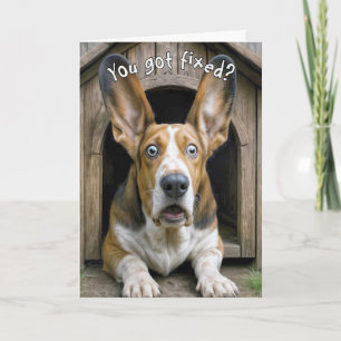 Carte Chirurgie vasectomie Basset Hound Chien Surprise