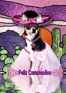 Cartes Mexicain D Anniversaire Zazzle Fr