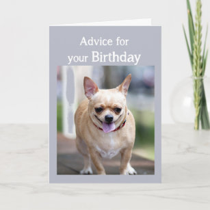 Cartes Chiwawa D Anniversaire Zazzle Fr