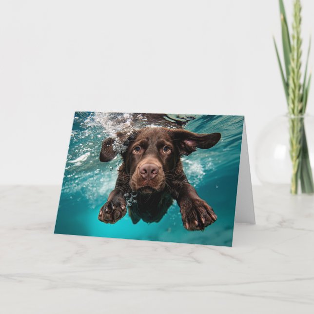Carte Chocolat Joueur Labrador nage sous l'eau (Devant)