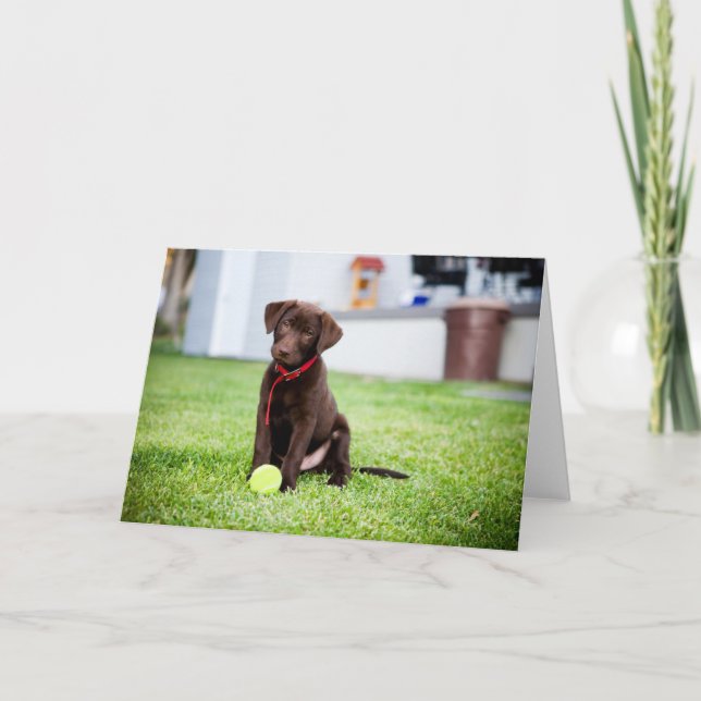 Carte Chocolat Labrador Puppy Avec Tennis Ball (Devant)