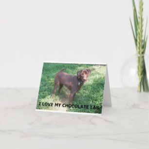 Carte Chocolat LR labrador amour avec photo