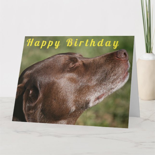 Carte Chocolat mignon Chien du Labrador - Joyeux anniver (Devant)