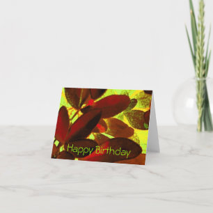 Carte Choisya Automne 2 "Joyeux anniversaire"