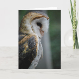 Carte Chouette