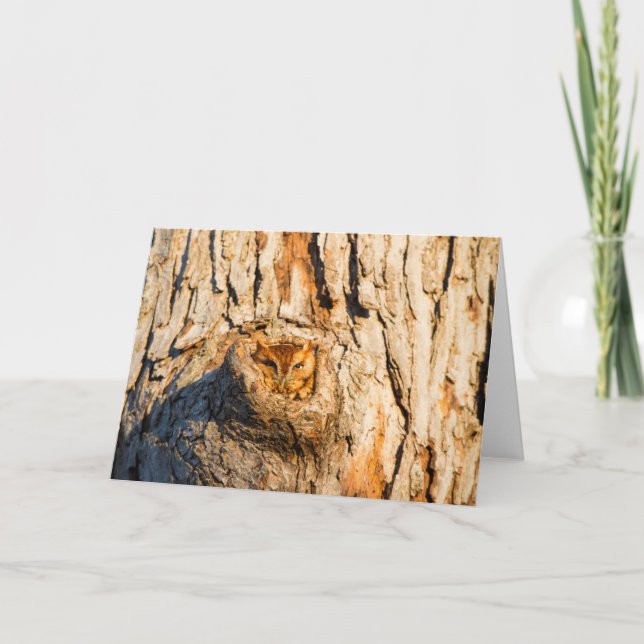 Carte Chouette à cris de l'Est (Devant)