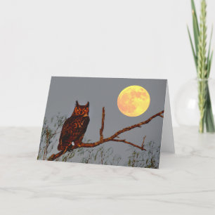 Carte Chouette à grande corne   PLEINE LUNE