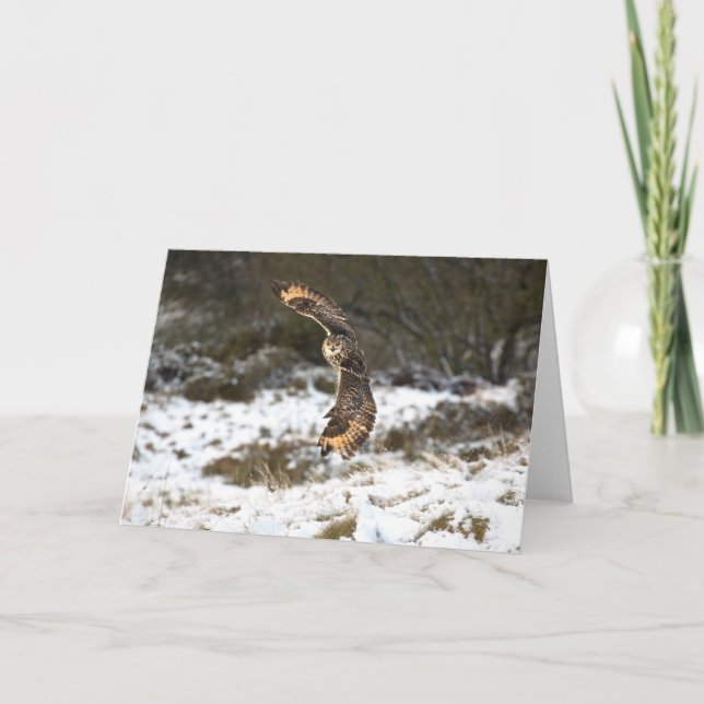 Carte Chouette d'aigle en vol (Devant)