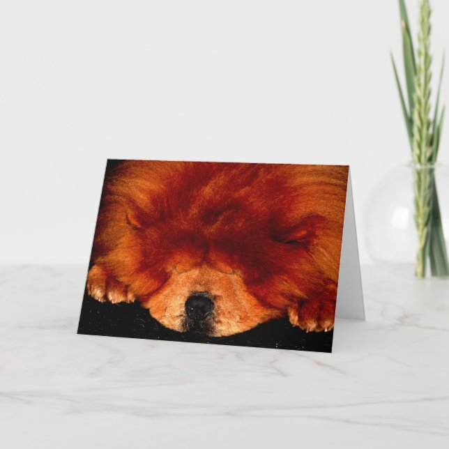 Carte Chow Chow Chow Gcna (Devant)