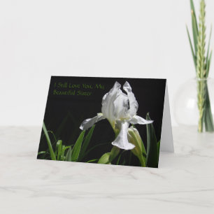 Carte chrétienne de détenu avec évangile pour soeu