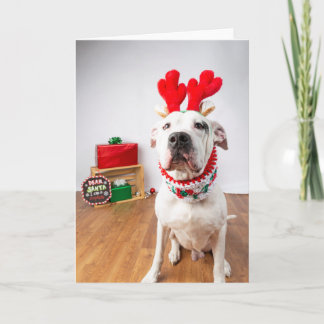 Carte Christmas card