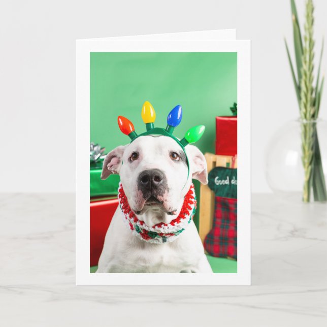 Carte Christmas card (Devant)