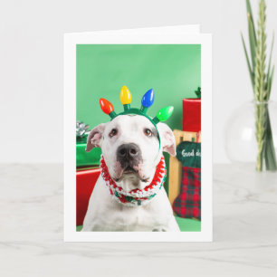 Carte Christmas card