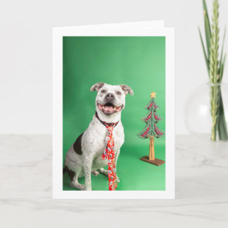 Carte Christmas card