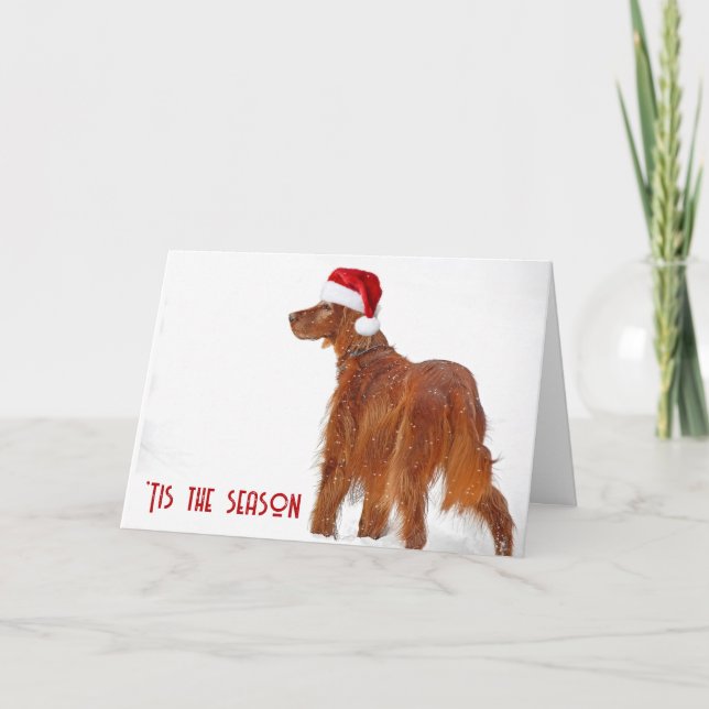 Carte Christmas Irish Setter In Snow (Devant)