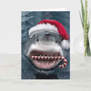 Carte Christmas Shark
