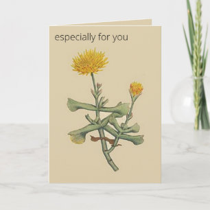 Carte Chrysanthème Figuier à Feuilles de Hachette Botani