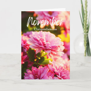 Carte Chrysanthème rose de novembre Fleur de naissance d