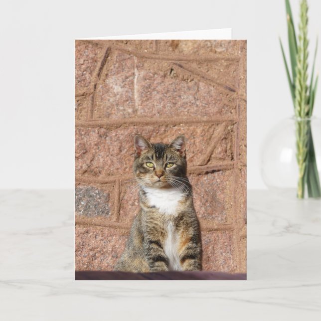 Carte Church Cat (Devant)