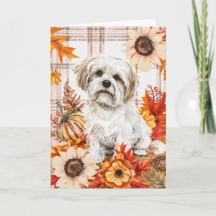 Carte Chute de chien Malti Tzu pour l'Action de grâce