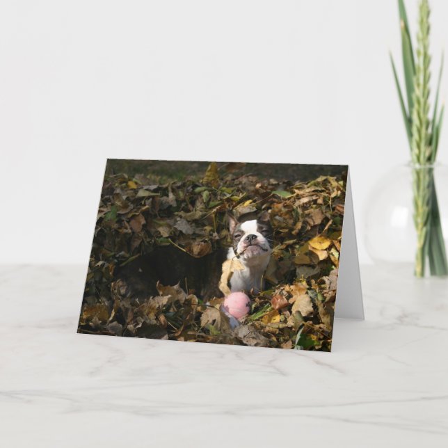 Carte Chute de Martha (Devant)