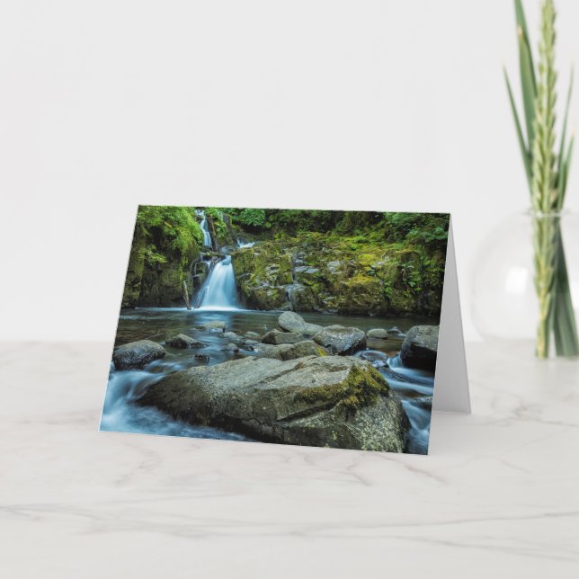 Carte Chutes de Sweet Creek (Devant)