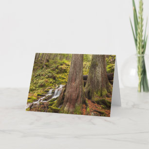 Carte Chutes de White Branch, Cascades de l'Oregon, Oreg