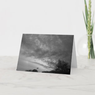 Carte Chutes du soir / Noir