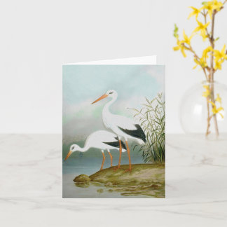 Carte cigogne blanche, illustrations d'oiseaux
