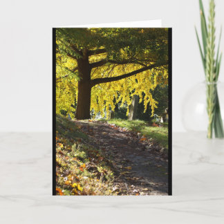 Carte Cimetière de Greenwood, Brooklyn, NY