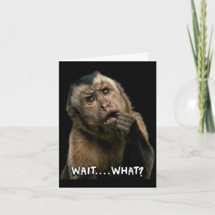 Carte Citation drôle de singe slang attends quoi mème mi