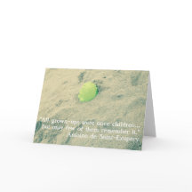 Citations du Petit Prince/Le Petit Prince