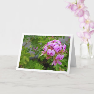 Carte Citronella Plante avec Floral