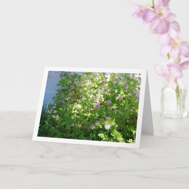 Carte Citronella Plante avec Floral (Orchidée)