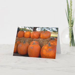 Carte Citrouilles