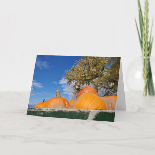 Carte Citrouilles