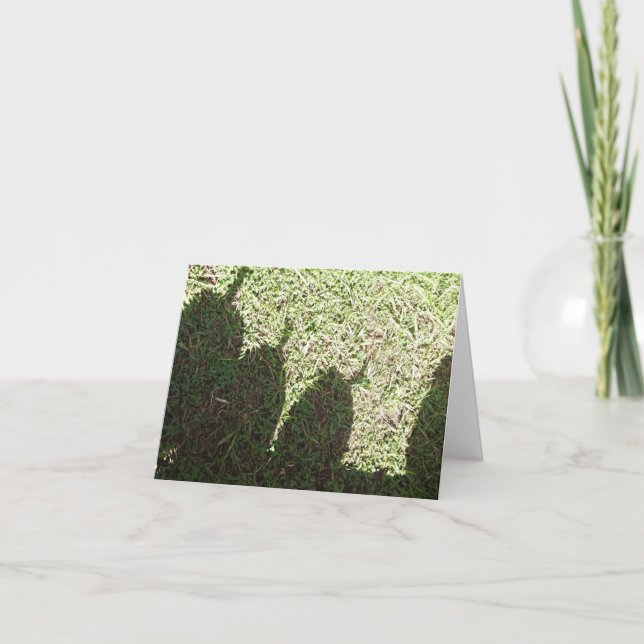 Carte Citrouilles d'ombre (Devant)