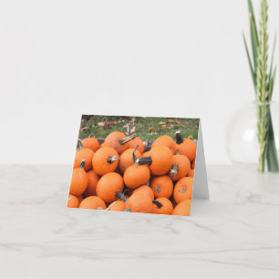 Carte Citrouilles effrayantes