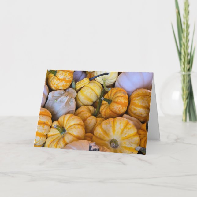 Carte Citrouilles et courges automnales (Devant)