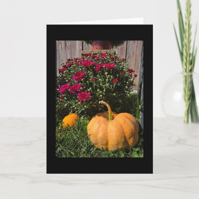 Carte Citrouilles et mamans (Devant)