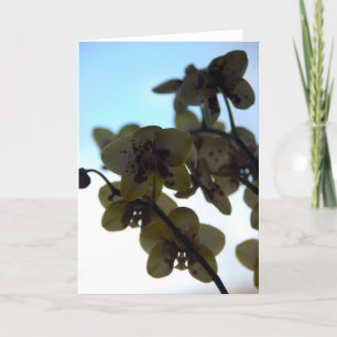 Carte Clair de Fleur