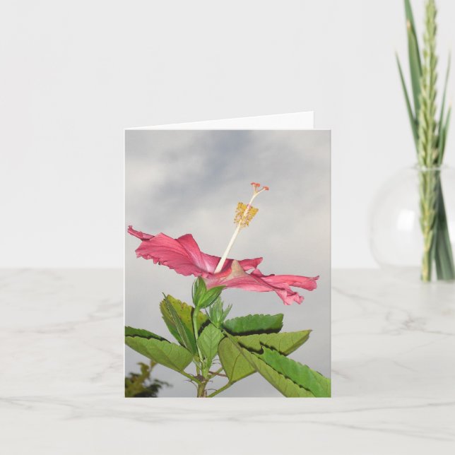 Carte Clarion v2 (Devant)