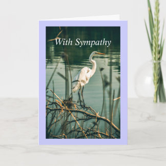 Carte Classique Aiguille Blanche Rive Oiseau Faune Natur