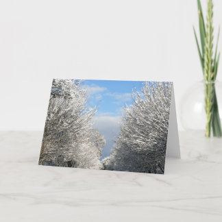 Carte Clearing Skies & Tailwinds, NYC -