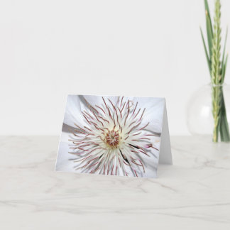 Carte Clematis