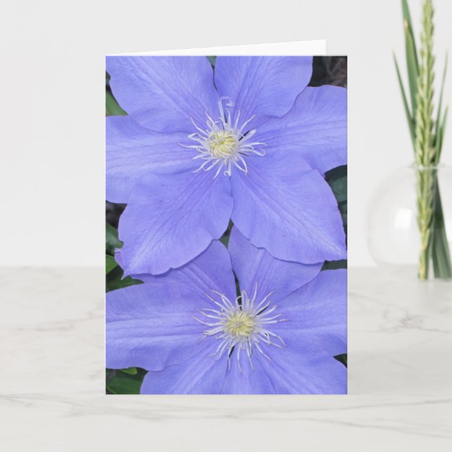 Carte Clematis 2 (Devant)